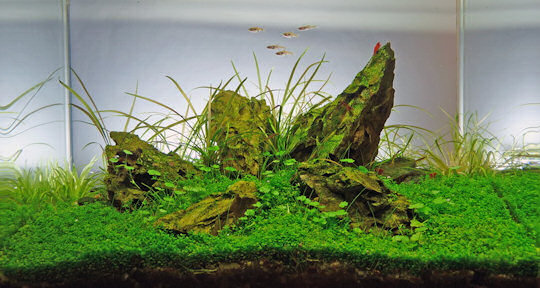 16 liters nanoakvarium